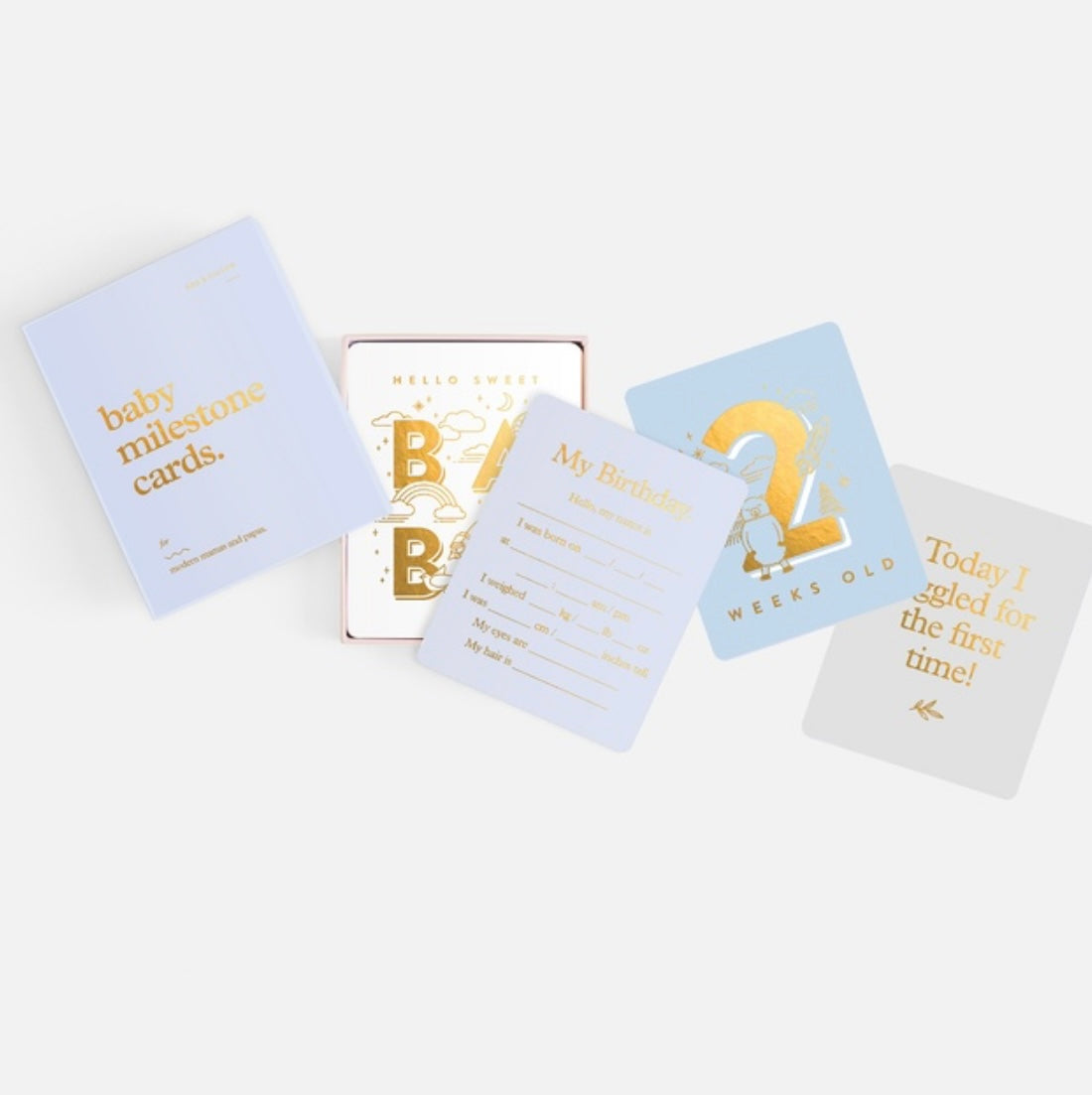 Baby Milestone Cards Powder Blue