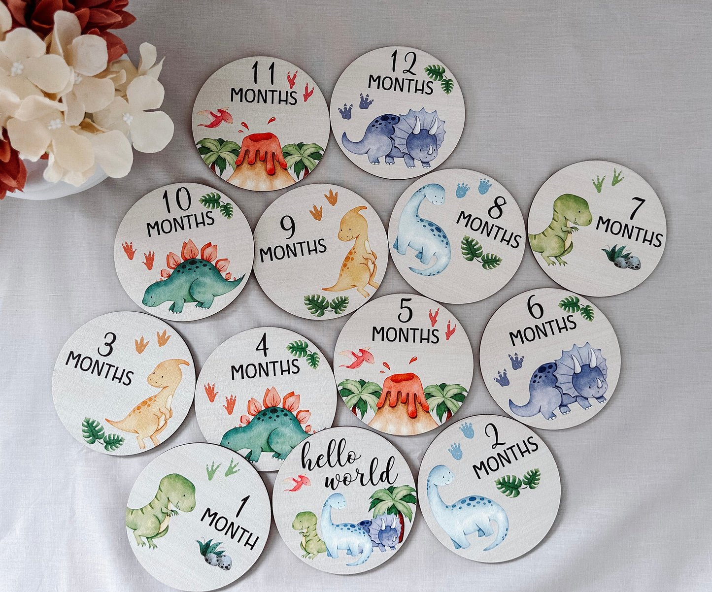 Dinosaur Baby Milestone Plaques- Set of 13
