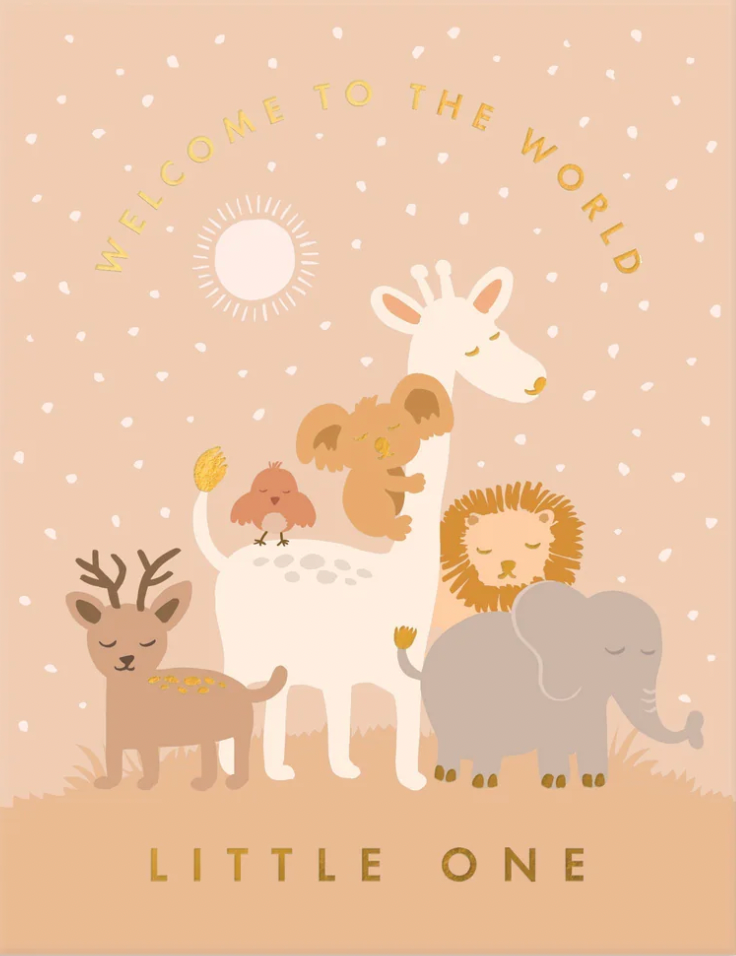 Little One Summer Greeting Card